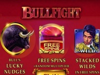 Bullfight