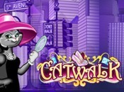 Catwalk