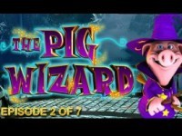 Harry Trotter: The Pig Wizard