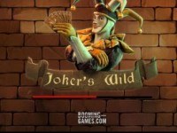 Jokers Wild